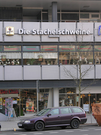 Die Stachelschweine