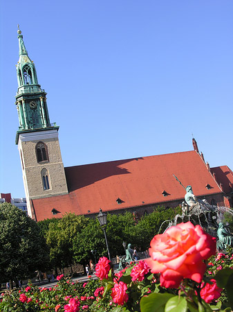 Marienkirche