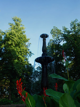 Fontäne auf der Binnenalster Fotos