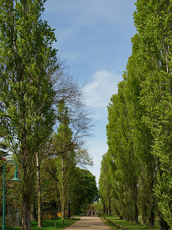 Fotos Volkspark Klein Glienicke