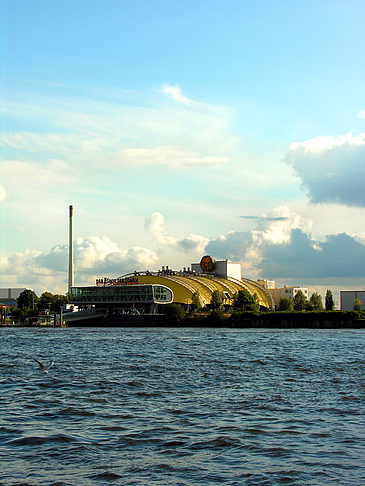 Foto König der Löwen