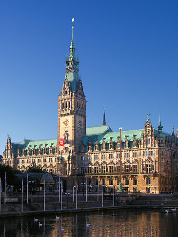 Foto Rathaus - Hamburg