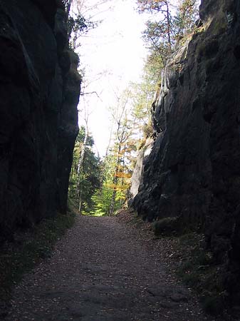 Foto Wanderwege im Wald - 
