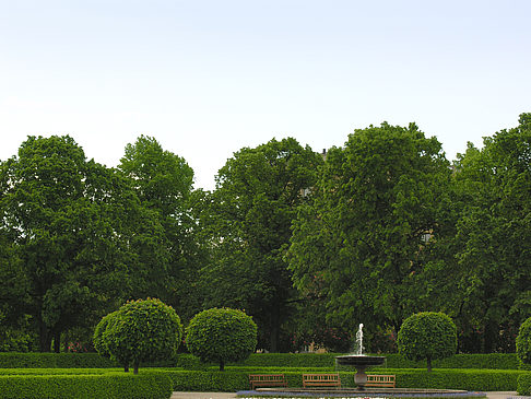 Hofgarten Fotos