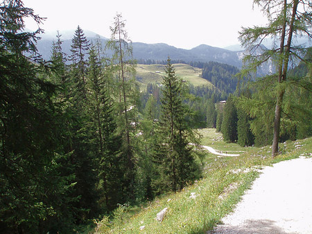 Wanderweg