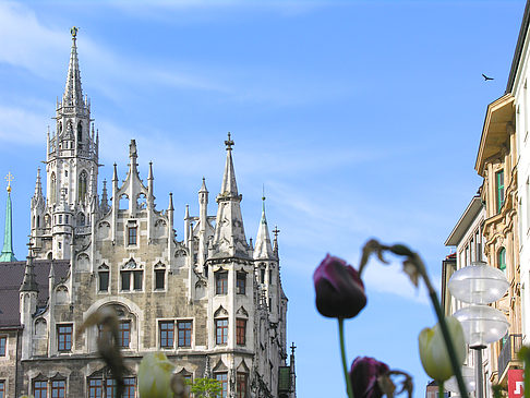 Neues Rathaus Fotos
