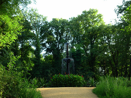 Pfaueninsel Landschaft