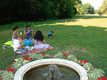 Foto Liegewiese auf der Pfaueninsel - Berlin