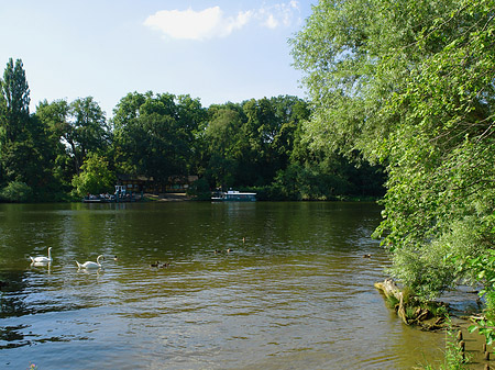Fotos Ufer an der Pfaueninsel