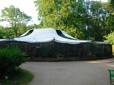 Fotos Voliere auf der Pfaueninsel