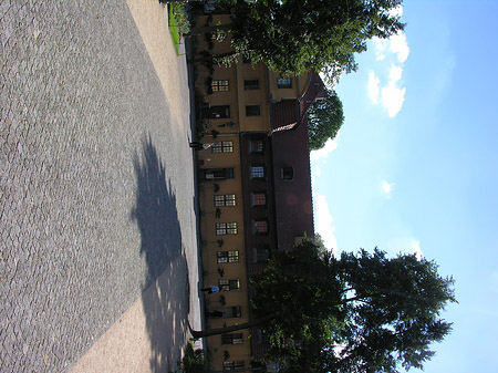 Mitte