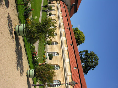 Foto Mitte