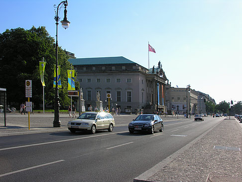 Unter den Linden Foto 