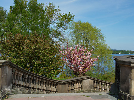 Foto Glienicker Brücke - Potsdam