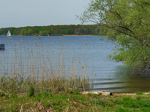 Boot auf der Havel Foto 