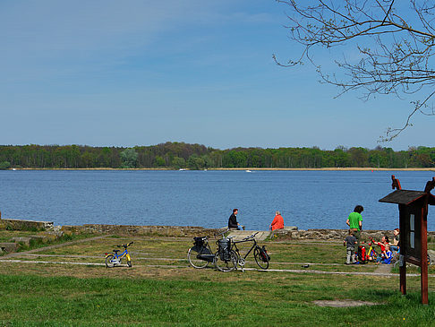 Havel Foto 