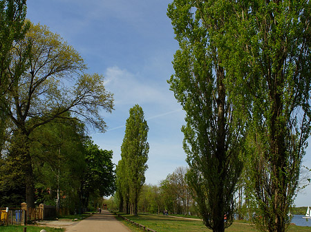 Foto Volkspark Klein Glienicke - Potsdam