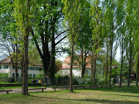 Wohnhäuser Foto 