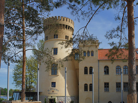 Zichorienmühle Foto 