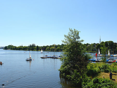 Bootsverleih und Hafen auf der Außenalster Fotos