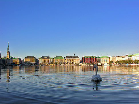 Foto Binnenalster - Hamburg