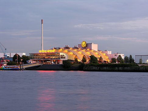 Fotos König der Löwen | Hamburg