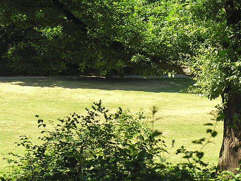 Fotos Innocentiapark