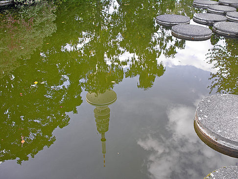 Planten un Blomen Fotos