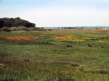 Foto Landschaften von Thiessow