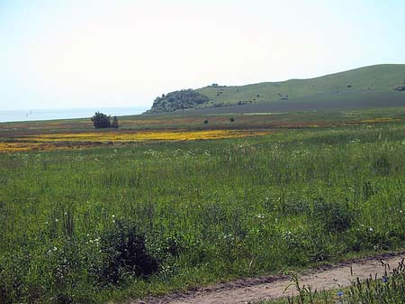 Landschaften von Thiessow Fotos