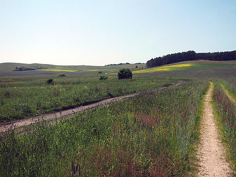 Fahrradwege durch die Natur Fotos