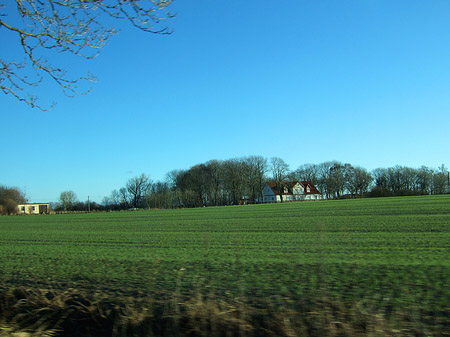 Foto Feld - 