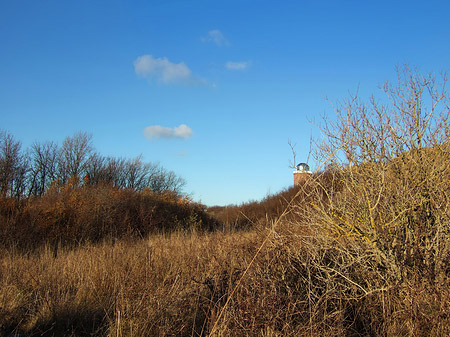 Foto Feld - 