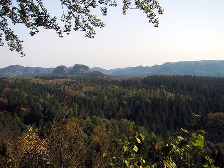 Fotos Blick über die Wälder