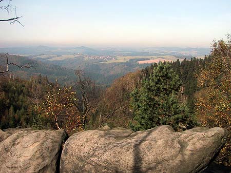 Foto Blick über die Wälder - 