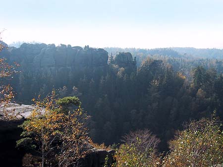 Blick über die Wälder
