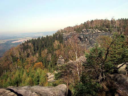 Blick über die Wälder Foto 