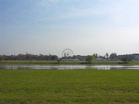 Foto Elbufer - Dresden
