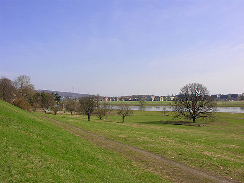 Foto Elbufer - Dresden