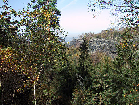 Foto Im Wald der sächsischen Schweiz - 